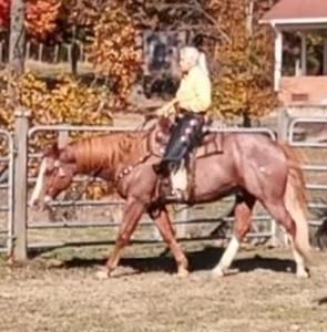 Meet your Posher, Marti